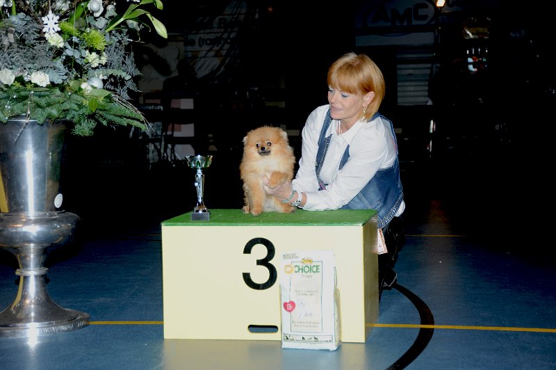 puppy zondag_3.jpg